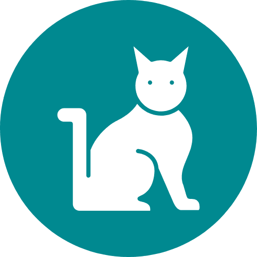 PurrScript Editorial Team